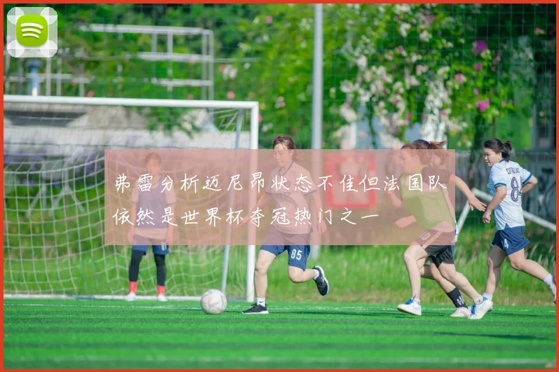 弗雷分析迈尼昂状态不佳但法国队依然是世界杯夺冠热门之一